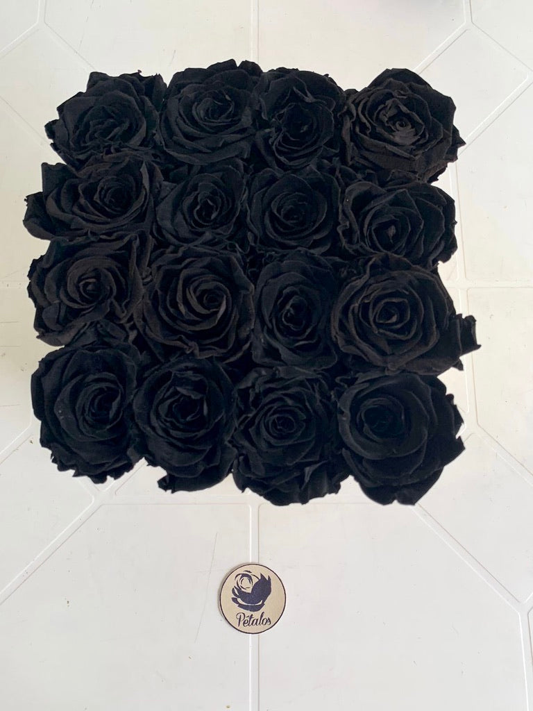 Caja deluxe de rosas preservadas negras – Pétalos Colombia