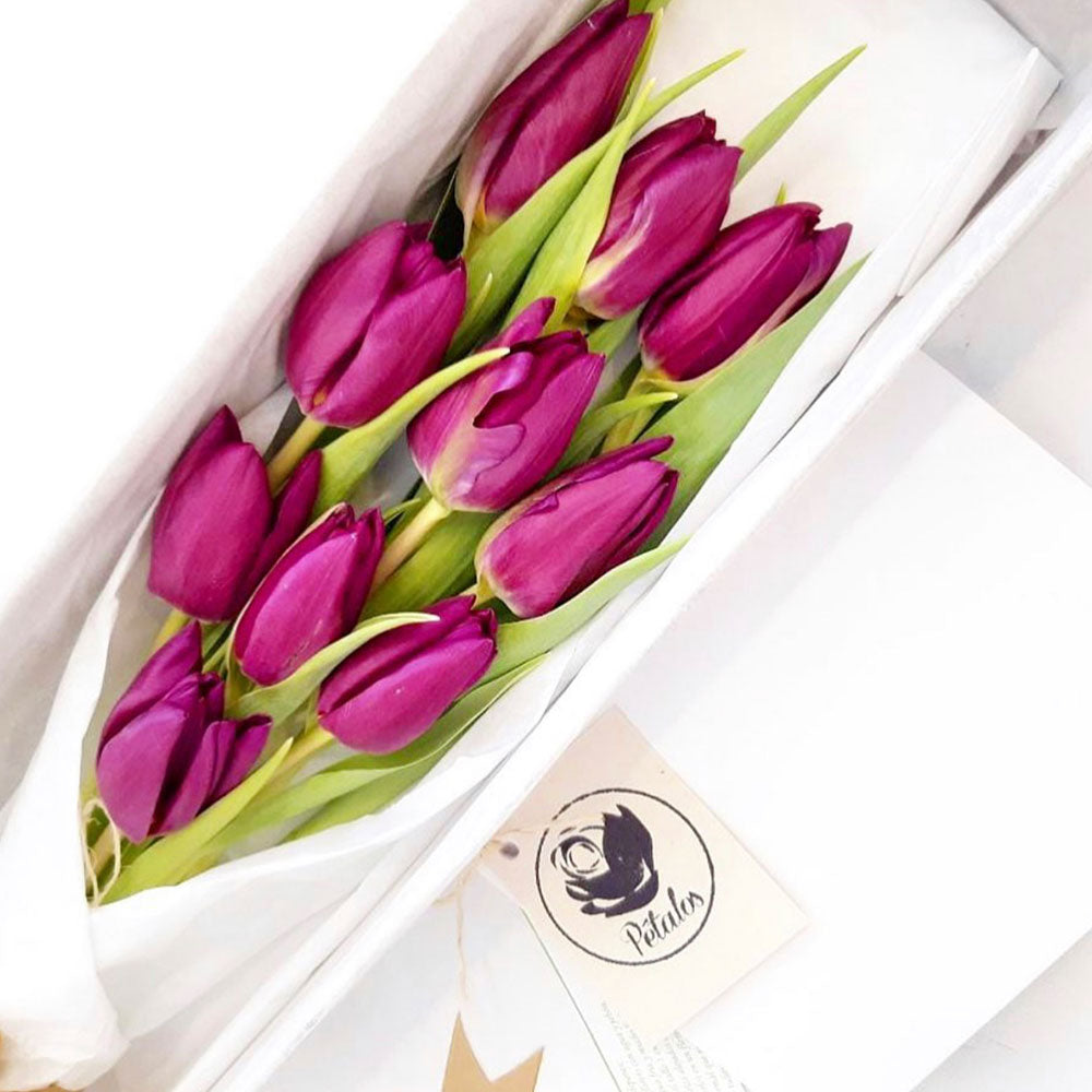 Caja premium de tulipanes morados – Pétalos Colombia