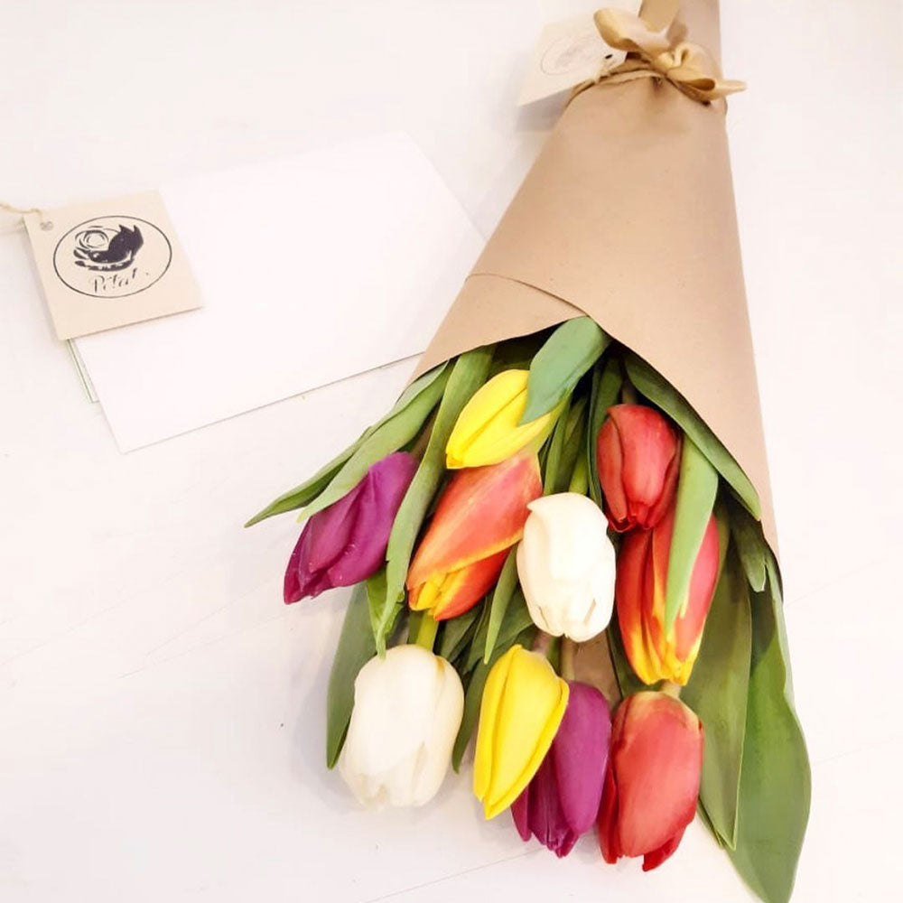 Cono de tulipanes de colores – Pétalos Colombia