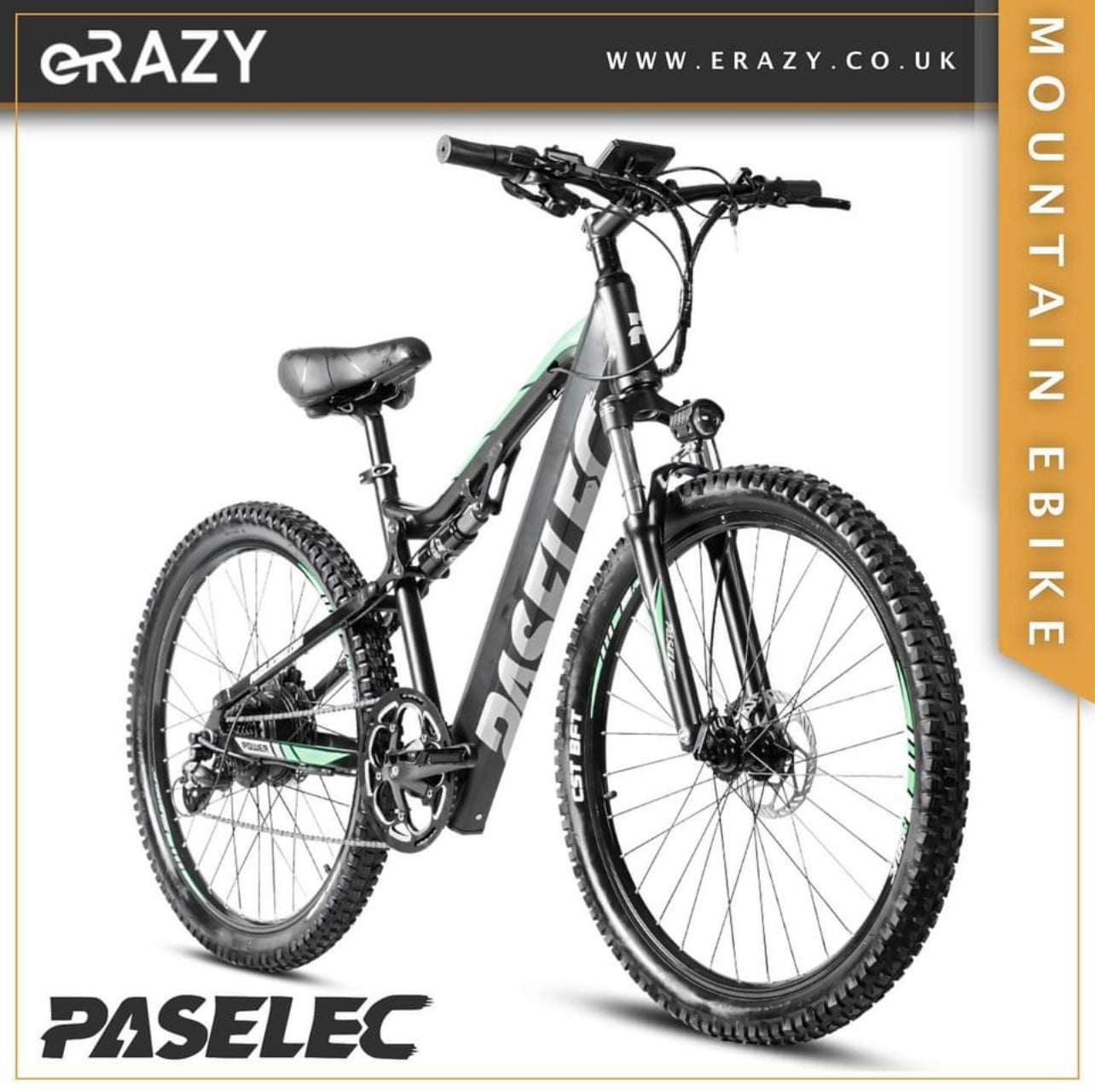 paselec e bike