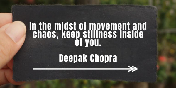 In the midst of movement and chaos, keep stillness inside of you.
