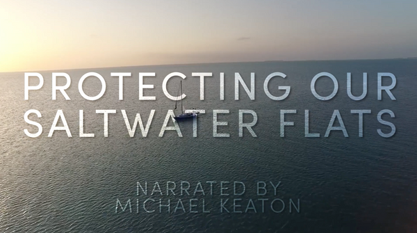 Protecting our saltwater flats video picture
