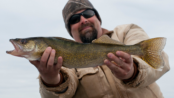 A man holding a walleye in the ultimate guide to walleye fishing