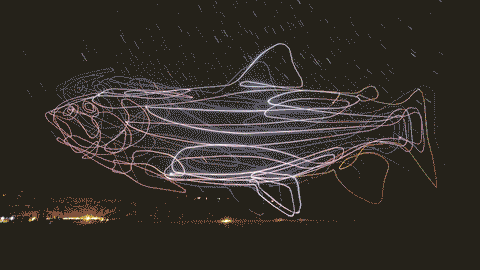 giant flying trout made from drones in night sky