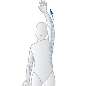 Étirement du bras avec épaule, côtes et dos en extension
