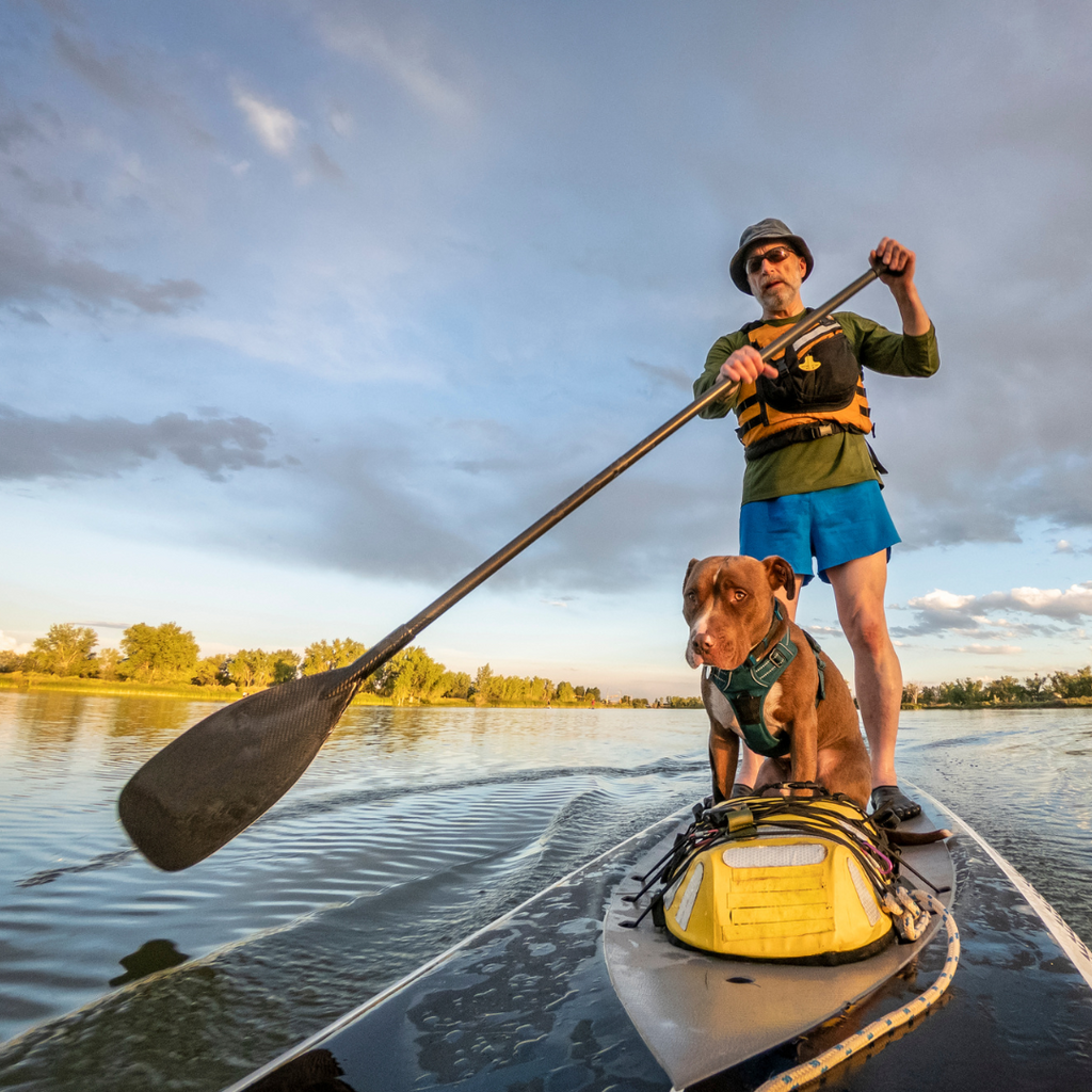 Paddleboarding with furry friends!