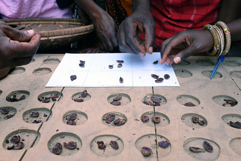 Origin Trip Tanzania 2015 Cocoa Bean Inspection