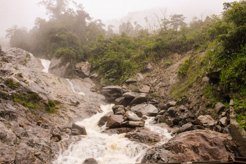 Origin Trip Ecuador 2017 Cloud Forest