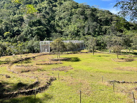 Askinosie Chocolate | Palanda Archeological Site