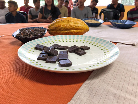 Origin Trip Amazonia 2018 Chocolate Tasting
