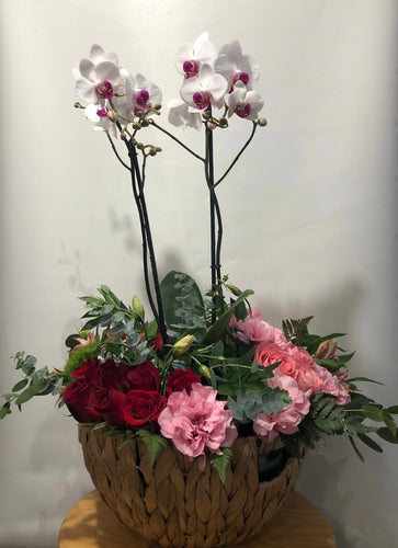 Arreglo Floral de Rosas, Lisianthus y Flor Fina en Caja – Boutique Floral  SLP