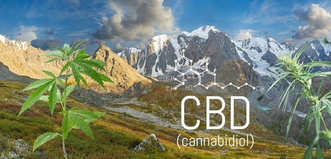 CBD and Shilajit