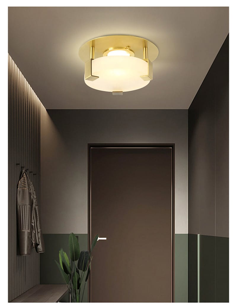 Nordic Modern LED Ceiling Lamp For Living Room Bedroom