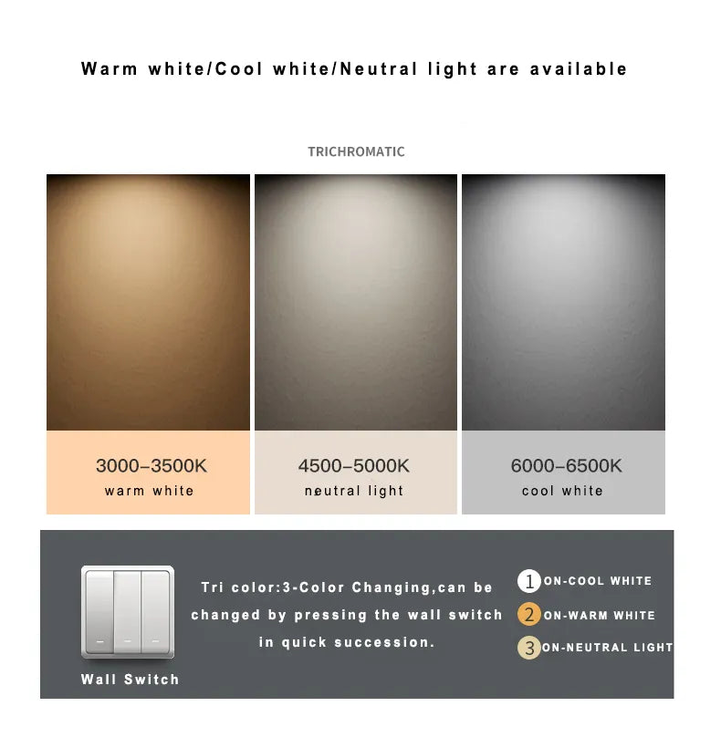 Royal - Black and Gold Modern Pendant Light: Integrated LED