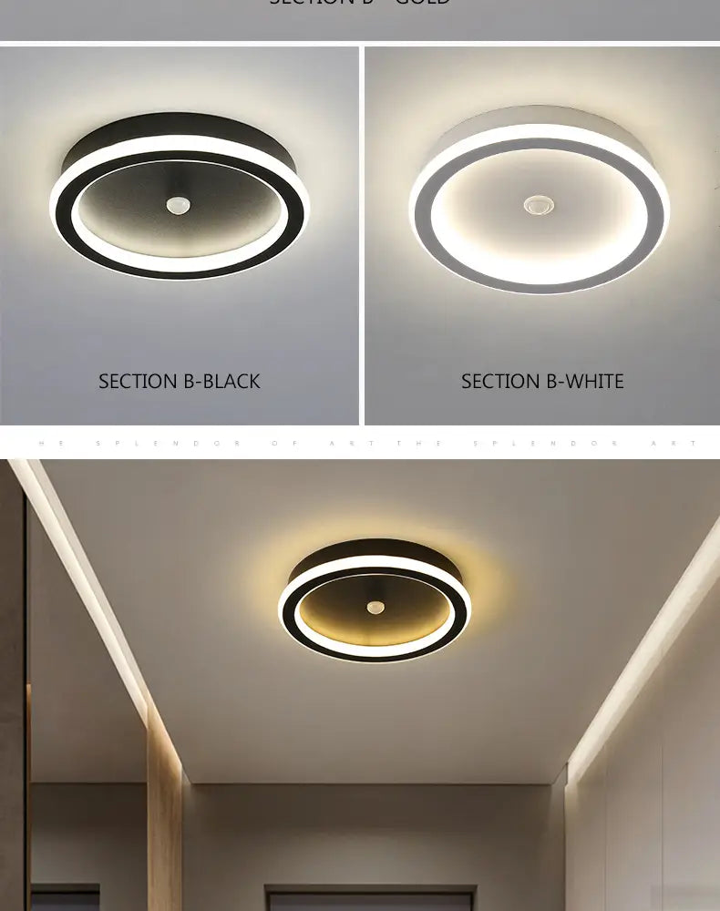 Nodric LED Ceiling Lamp Induction Aisle Light Corridor Light