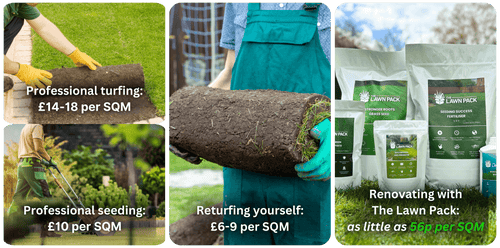 Copy of Copy of Prevents moss growth. Usually 7-14 days (up to 21 days in colder periods). Rapid green-up. Able to withstand heavy usage from pets and kids. Hardens lawn & makes it more resistant -2.png__PID:71806a5f-3828-4449-b660-b1e469214ef3