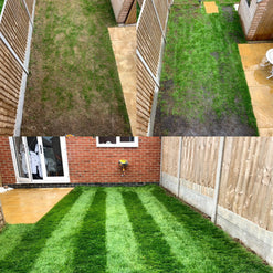 The Lawn Pack - The Ultimate Lawn Transformation Kit