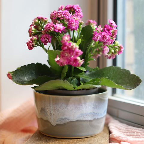 A ceramics planter in grey glaze