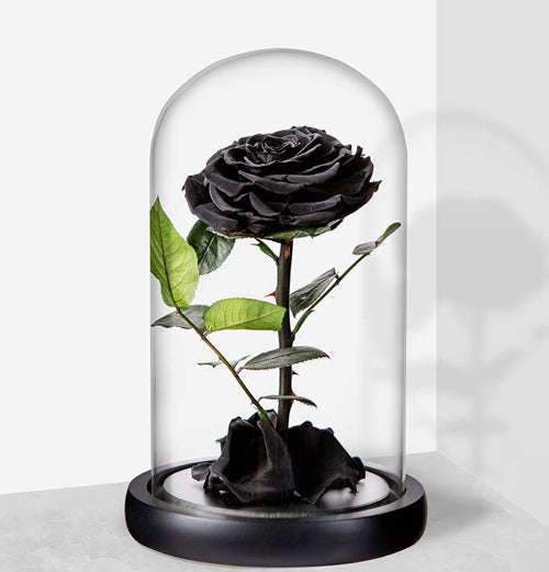 Rosa negra eterna de larga duración - Regalos de San Valentín EAU - ¡Compre  ahora! – El regalo perfecto Dubái®