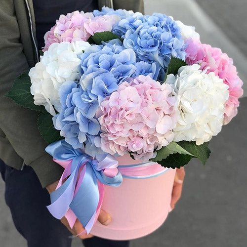 Hortensias de lujo: envíe flores a los Emiratos Árabes Unidos ahora: el  regalo perfecto Dubai®