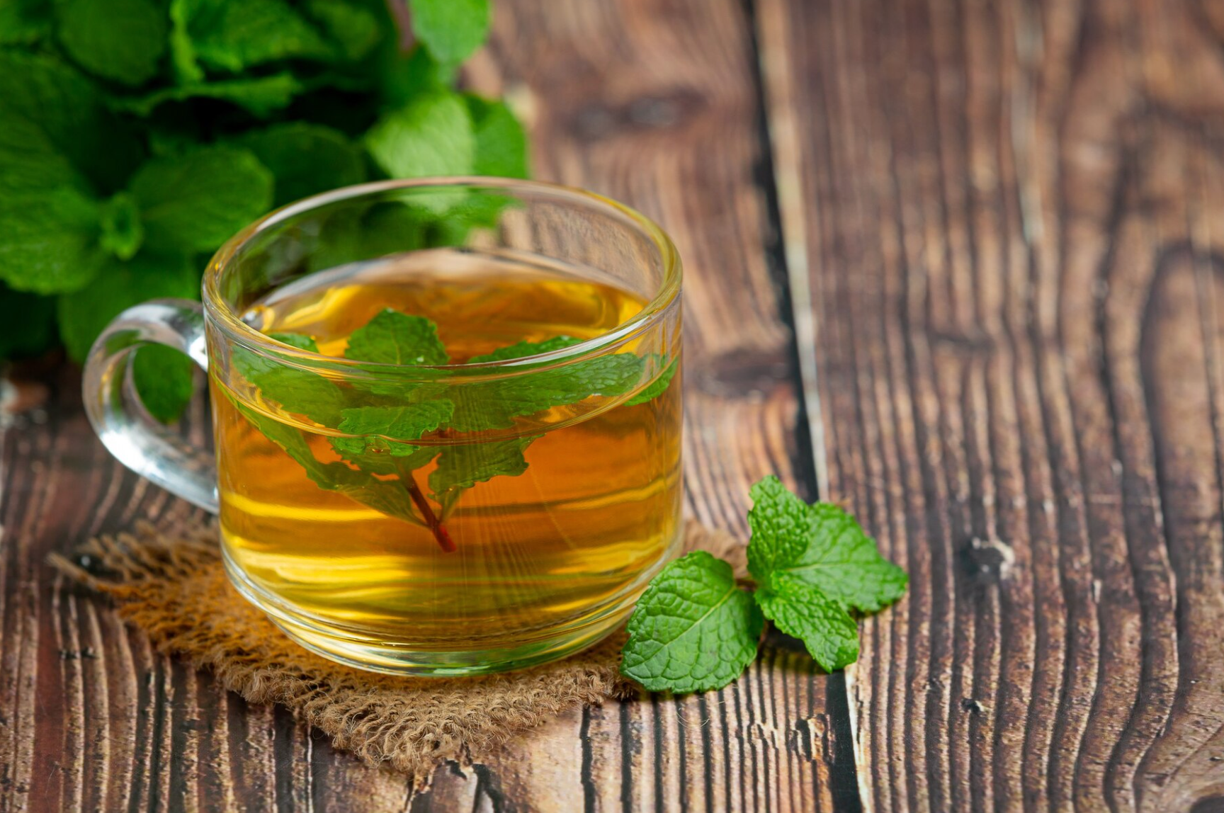 peppermint tea christmas recipe  herb health digestion