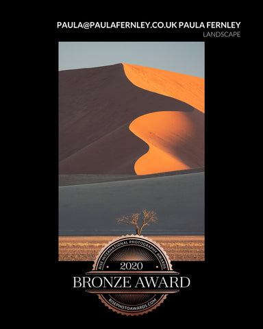 an image of sand dunes and a thorn tree getting a bronze award in the Rise iNternational photography awards