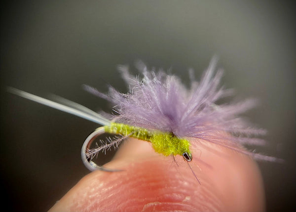 CDC-Spring-BWO-Dry-Fly
