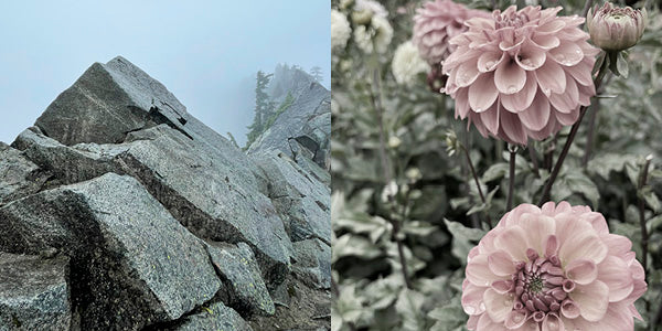 rock ridge and dahlia garden, beauty in nature inspiring art