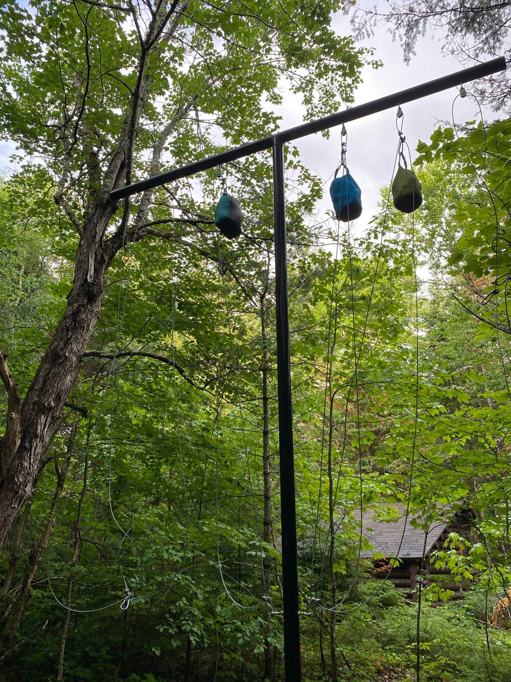 Bear wires - best to keep food out of reach, more for tiny squirrel bears than anything else.