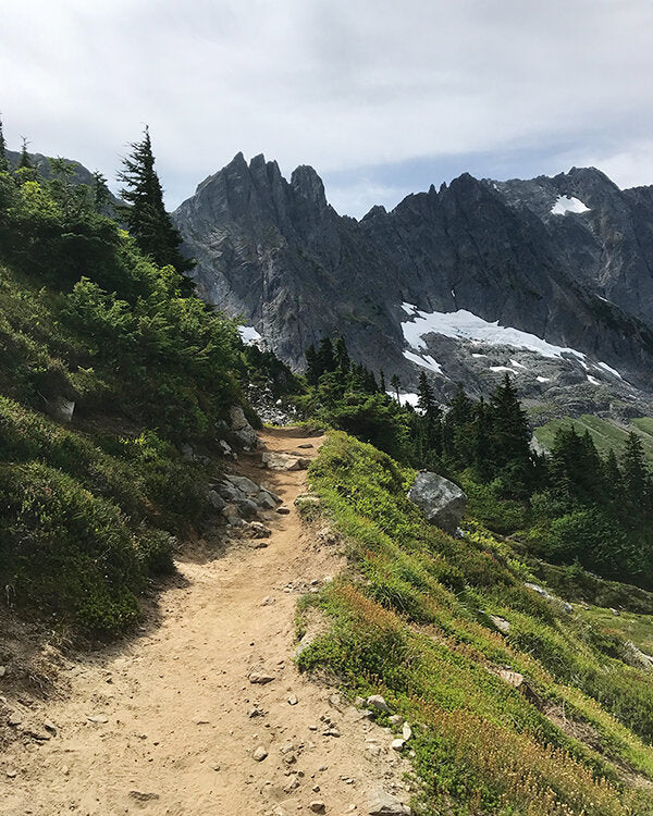 A view of a trail in the North Cascades from last summer with the Wonderkrew - so beautiful!