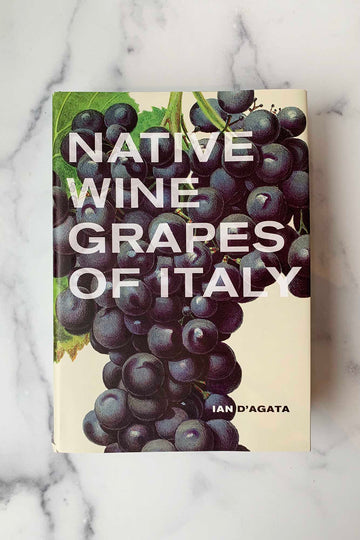 Vino: The Essential Guide to Real Italian Wine: Campanale, Joe