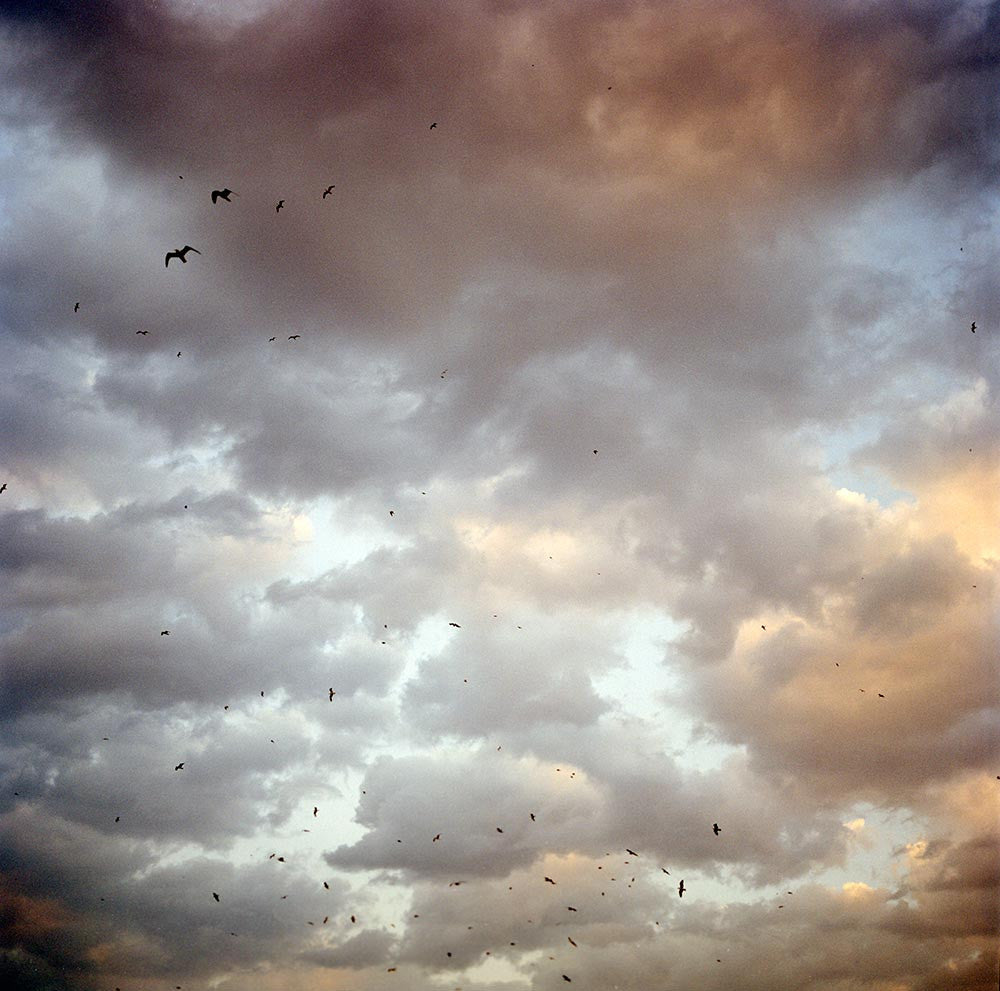 Birds over the Bosphorous. Istanbul, Turkey, 2006.