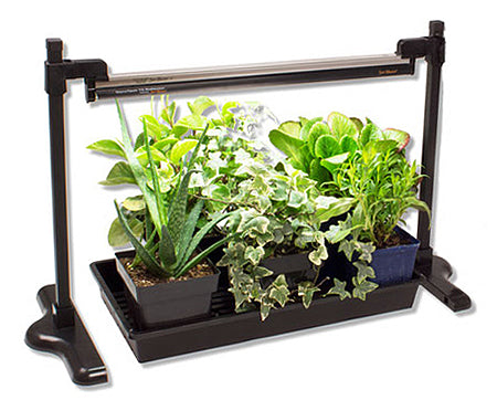 sun blaster grow light