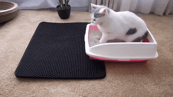 Cat Litter Mat - Bed Pads - Furvenzy