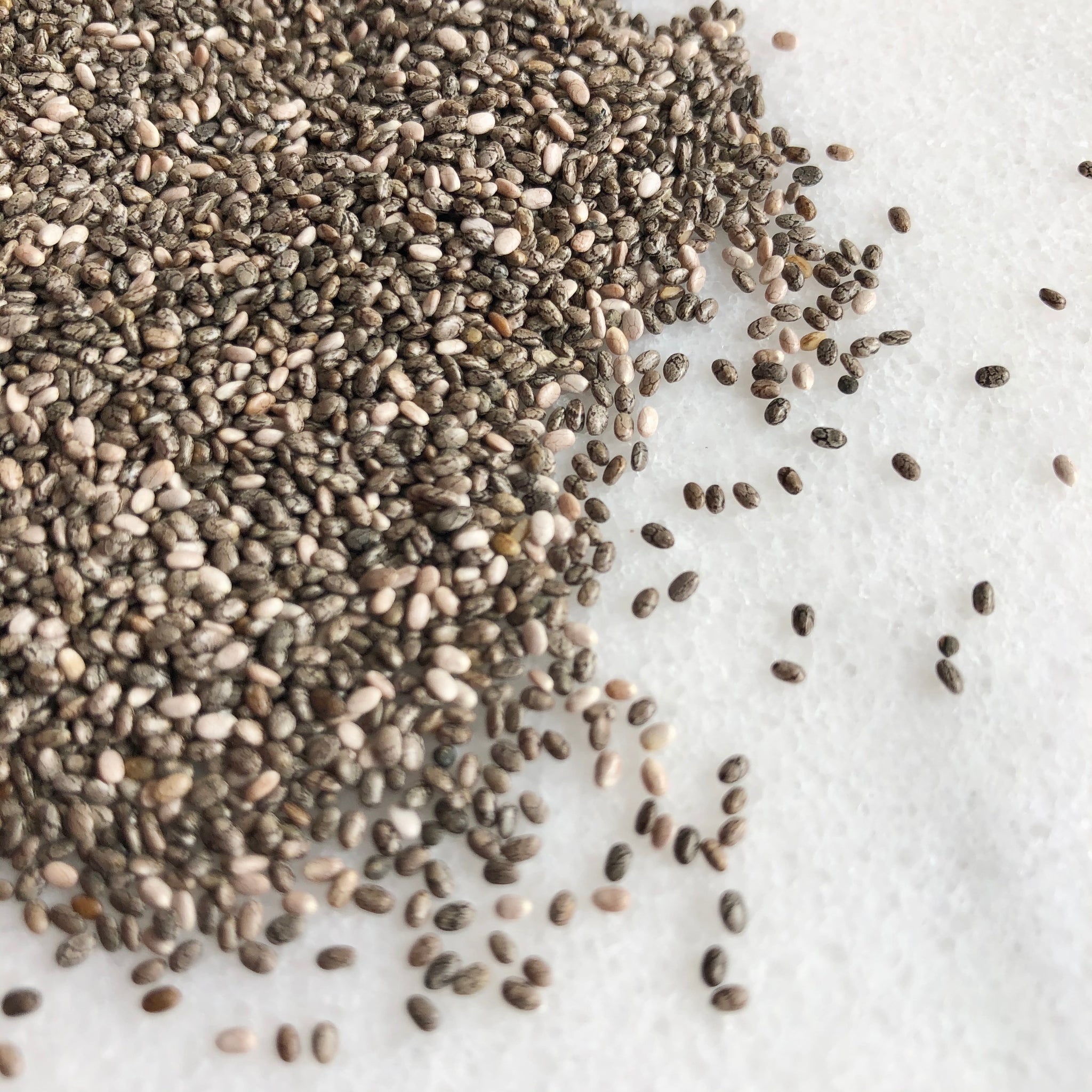 Raw Organic Chia Seeds Nut • Hut 