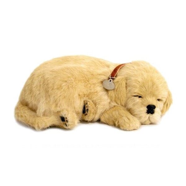 Sweet Petzzz: Realistic Dog & Cat Plush Dolls | Multiple Styles - Golden  Retriever