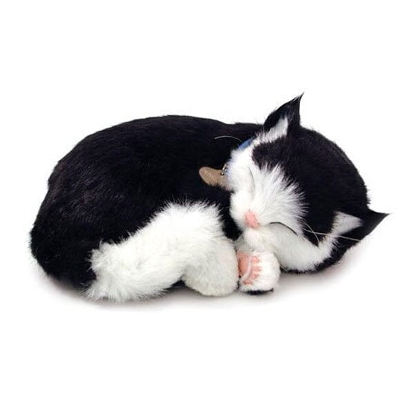 Sweet Petzzz: Realistic Dog & Cat Plush Dolls | Multiple Styles - Black &  White Cat