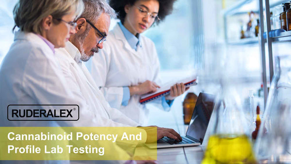 cannabinoid cbd potency profile lab testing