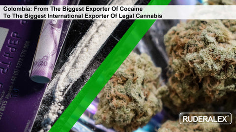 Colombia cocaine cannabis international export