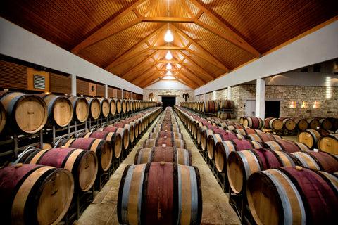WINE CATHEDRAL MAIN SHIP Umathum Winery. Large hall with many wine barrels.