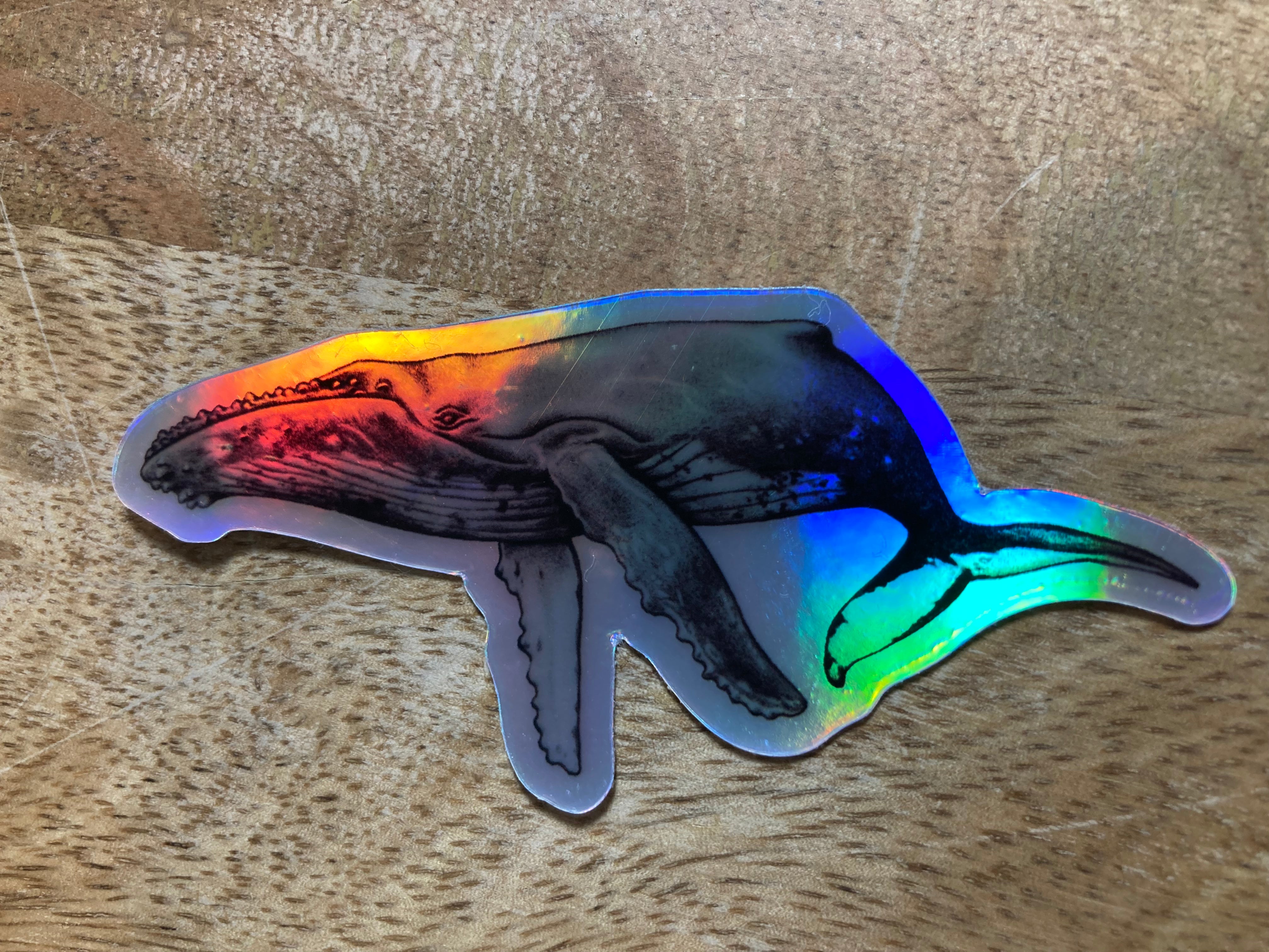 Holographic Humpback Sticker