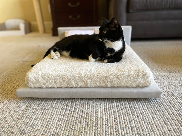 The Best Cat Bed