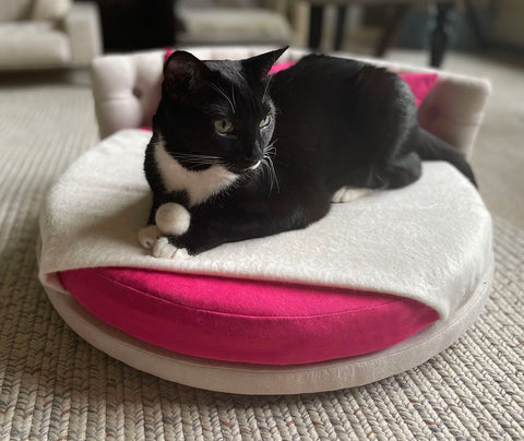 Verona Luxury Cat Bed