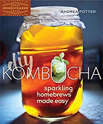 Livre DIY Kombucha Andrea Potter