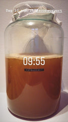 Grosses Glasgefaess mit Kombucha fermentiert Scoby bildet sich