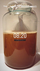 Large glass jar with Kombucha fermented thin Scoby