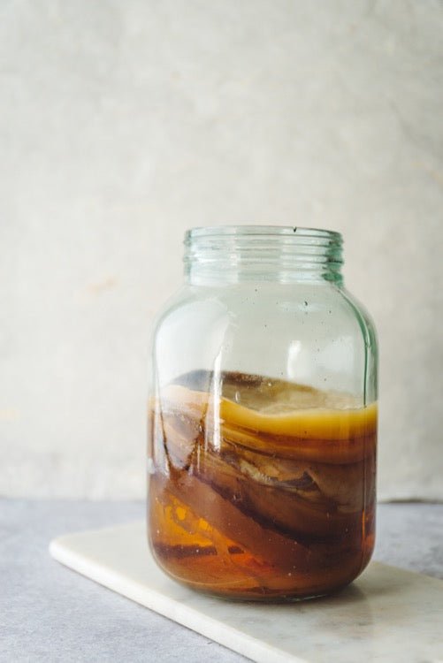 Scoby au kombucha dans une grande assiette en marbre de verre