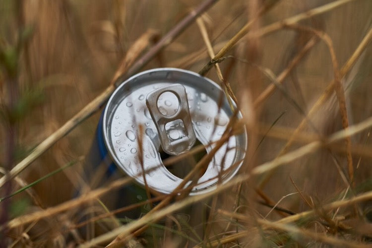 Canette d'aluminium dans le champ de maïs