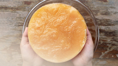 Two hands hold a large Kombucha mushroom glass bowl on a wooden table