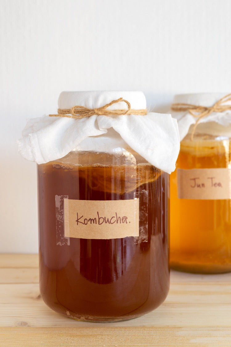 Large glass of Kombucha Jun tea